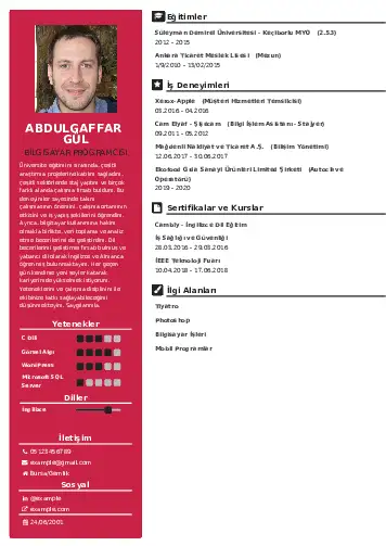 Bilgisayar Programcısı CV Örnekleri cv indir